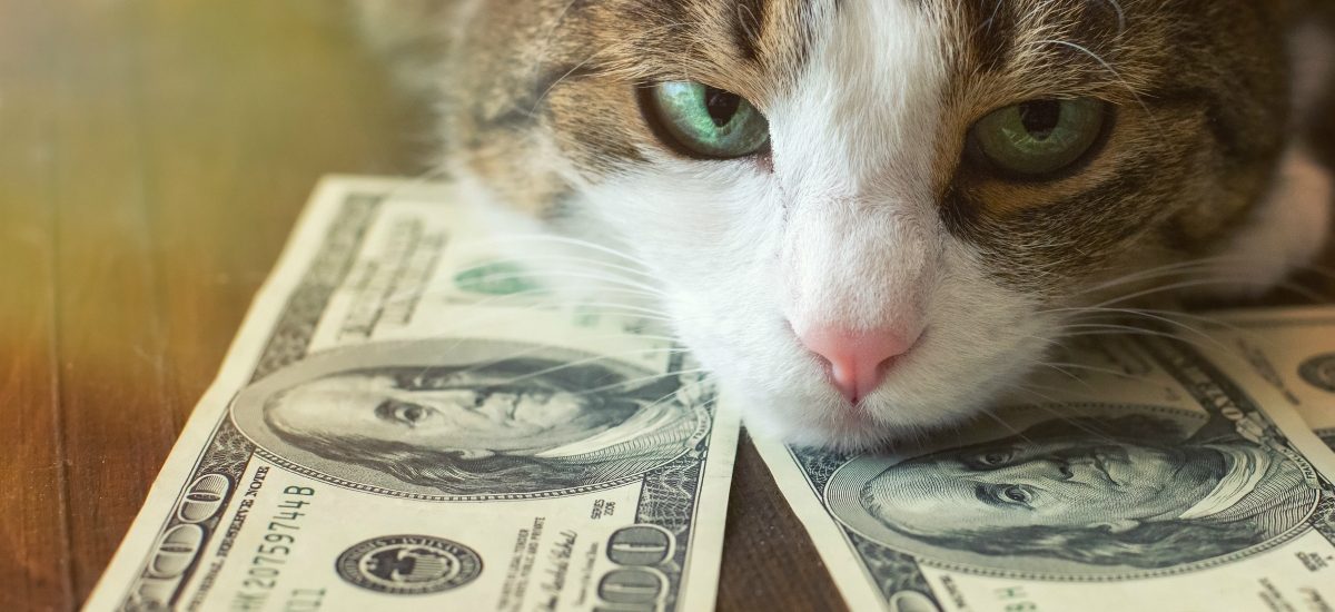Cat Financial